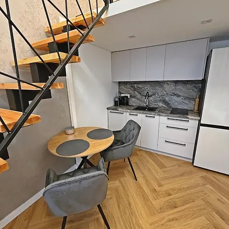Apartament The Onyx Loft I Terrace I Free Parking Kowno
